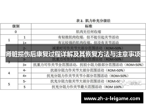 肾脏损伤后康复过程详解及其恢复方法与注意事项